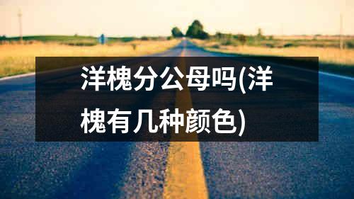 洋槐分公母吗(洋槐有几种颜色)