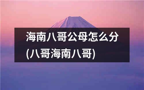 海南八哥公母怎么分(八哥海南八哥)