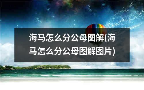 海马怎么分公母图解(海马怎么分公母图解图片)