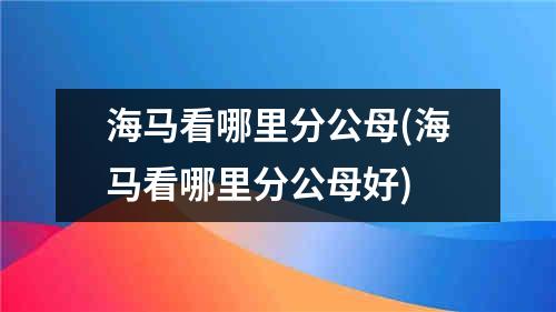 海马看哪里分公母(海马看哪里分公母好)