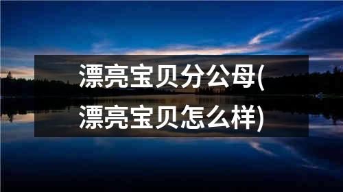 漂亮宝贝分公母(漂亮宝贝怎么样)