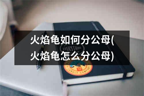 火焰龟如何分公母(火焰龟怎么分公母)