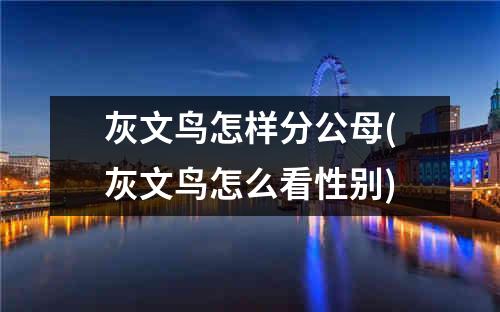 灰文鸟怎样分公母(灰文鸟怎么看性别)