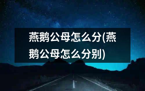 燕鹅公母怎么分(燕鹅公母怎么分别)