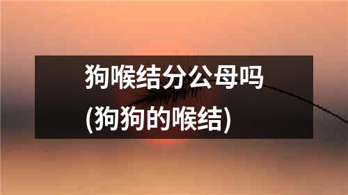 狗喉结分公母吗(狗狗的喉结)