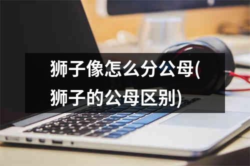 狮子像怎么分公母(狮子的公母区别)