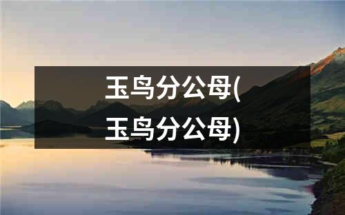 玉鸟分公母(玉鸟分公母)