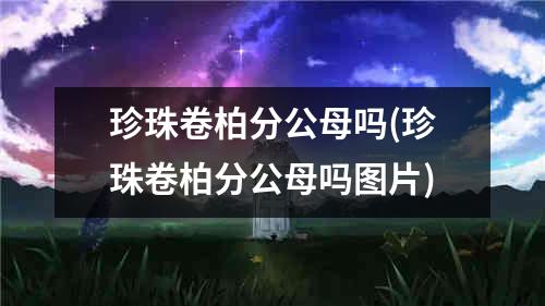 珍珠卷柏分公母吗(珍珠卷柏分公母吗图片)