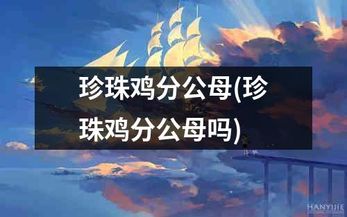 珍珠鸡分公母(珍珠鸡分公母吗)