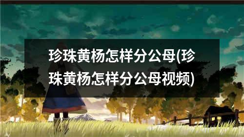 珍珠黄杨怎样分公母(珍珠黄杨怎样分公母视频)