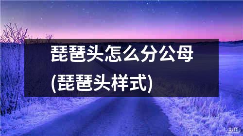 琵琶头怎么分公母(琵琶头样式)