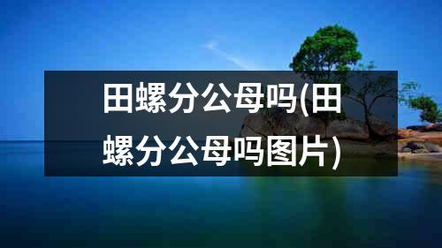 田螺分公母吗(田螺分公母吗图片)