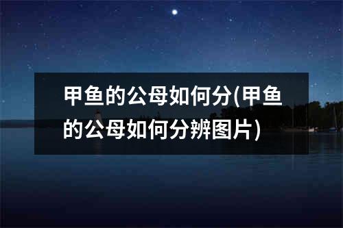 甲鱼的公母如何分(甲鱼的公母如何分辨图片)