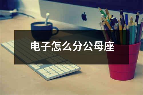 电子怎么分公母座