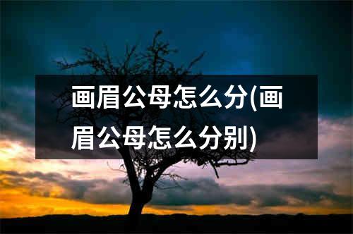 画眉公母怎么分(画眉公母怎么分别)