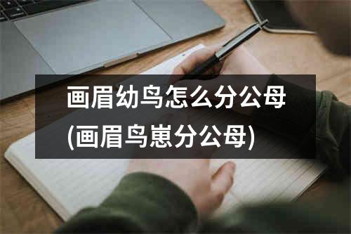 画眉幼鸟怎么分公母(画眉鸟崽分公母)