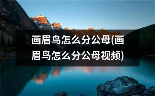 画眉鸟怎么分公母(画眉鸟怎么分公母视频)