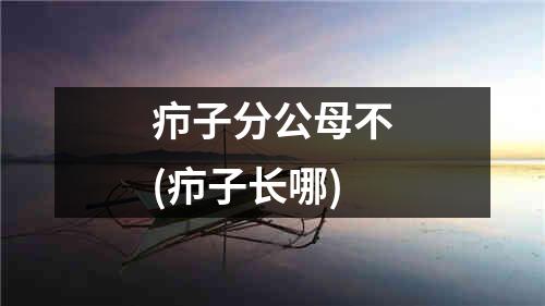 疖子分公母不(疖子长哪)