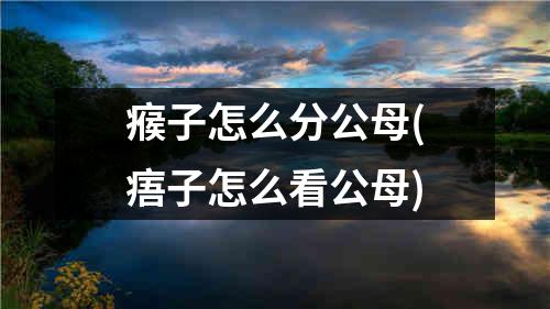 瘊子怎么分公母(痦子怎么看公母)