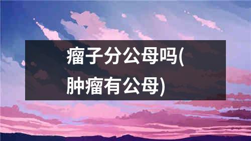 瘤子分公母吗(肿瘤有公母)