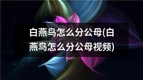 白燕鸟怎么分公母(白燕鸟怎么分公母视频)