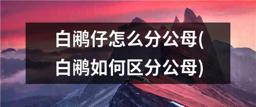 白鹇仔怎么分公母(白鹇如何区分公母)