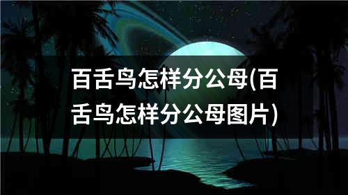 百舌鸟怎样分公母(百舌鸟怎样分公母图片)