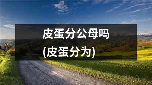 皮蛋分公母吗(皮蛋分为)