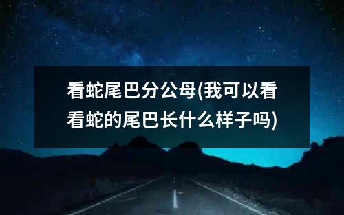 看蛇尾巴分公母(我可以看看蛇的尾巴长什么样子吗)