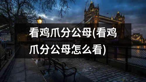 看鸡爪分公母(看鸡爪分公母怎么看)