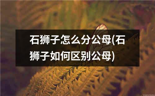 石狮子怎么分公母(石狮子如何区别公母)