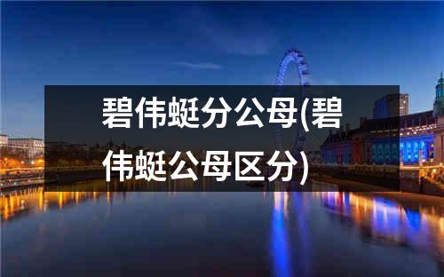 碧伟蜓分公母(碧伟蜓公母区分)