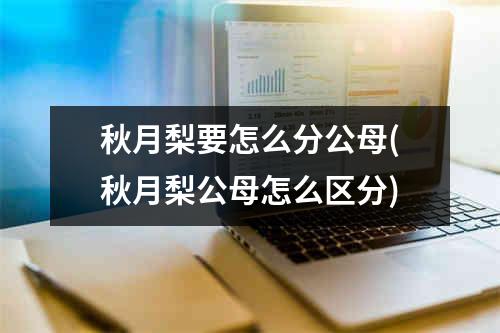 秋月梨要怎么分公母(秋月梨公母怎么区分)