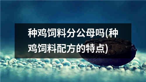 种鸡饲料分公母吗(种鸡饲料配方的特点)