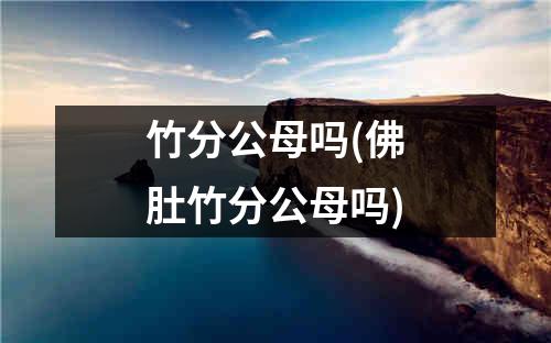 竹分公母吗(佛肚竹分公母吗)