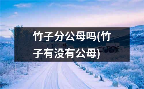 竹子分公母吗(竹子有没有公母)