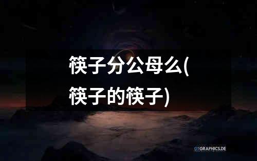 筷子分公母么(筷子的筷子)