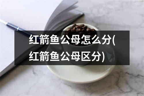 红箭鱼公母怎么分(红箭鱼公母区分)