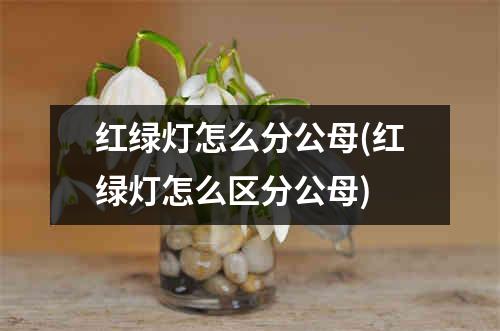 红绿灯怎么分公母(红绿灯怎么区分公母)