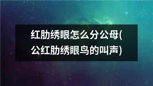 红肋绣眼怎么分公母(公红肋绣眼鸟的叫声)