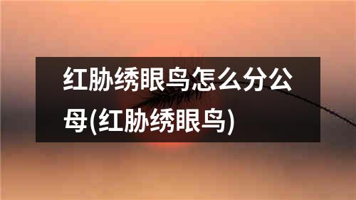 红胁绣眼鸟怎么分公母(红胁绣眼鸟)