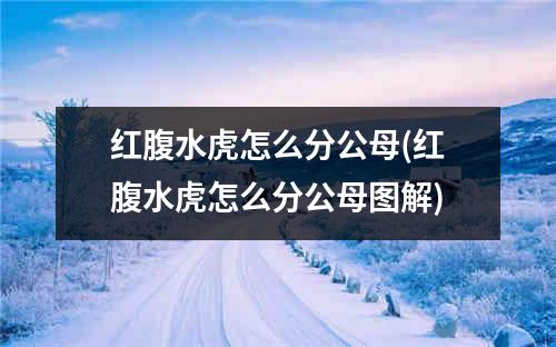 红腹水虎怎么分公母(红腹水虎怎么分公母图解)