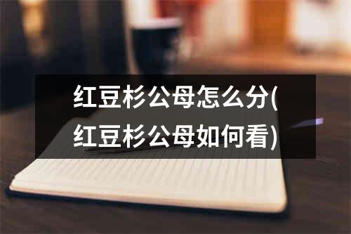 红豆杉公母怎么分(红豆杉公母如何看)