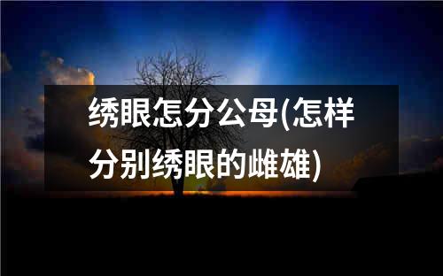 绣眼怎分公母(怎样分别绣眼的雌雄)