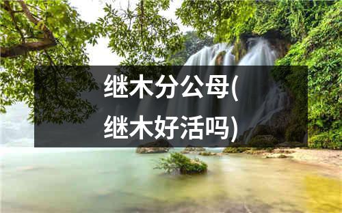 继木分公母(继木好活吗)