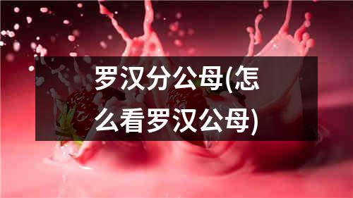 罗汉分公母(怎么看罗汉公母)