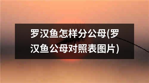 罗汉鱼怎样分公母(罗汉鱼公母对照表图片)