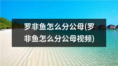 罗非鱼怎么分公母(罗非鱼怎么分公母视频)