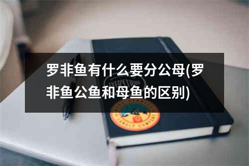 罗非鱼有什么要分公母(罗非鱼公鱼和母鱼的区别)