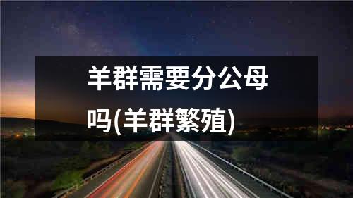 羊群需要分公母吗(羊群繁殖)